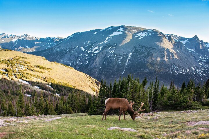 Discover Rocky Mountain National Park, Denver