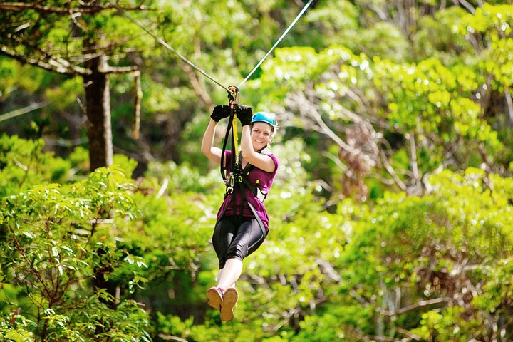 Gold Coast Canyon Flyer Zipline Tour, Gold Coast