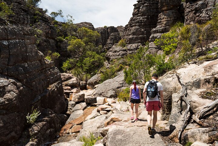 Grampians National Park Small-Group Eco Tour From Melbourne, Melbourne