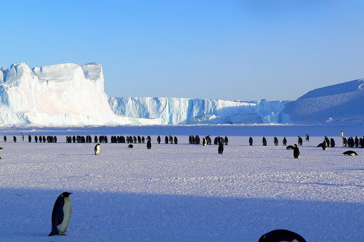 Test Activity, Ushuaia