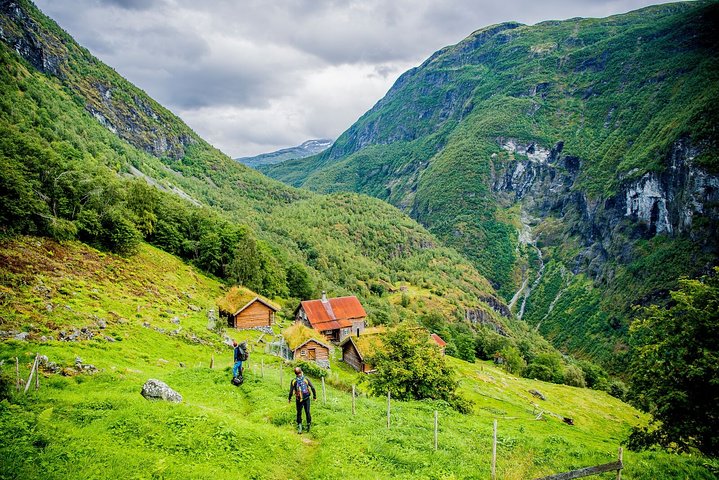 Oslo To Bergen Self-Guided Full Day Trip with Flm Railway And Fjord Cruise