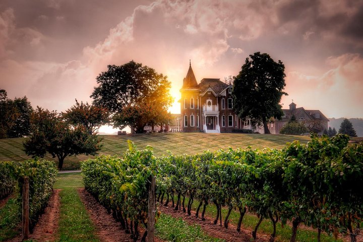 Ultimate Wine Country And Niagara Falls Private Tour With Lunch, Toronto