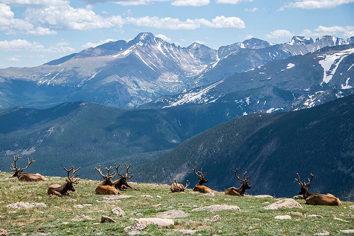 Rocky Mountain National Park - Private Sightseeing Tour, Denver
