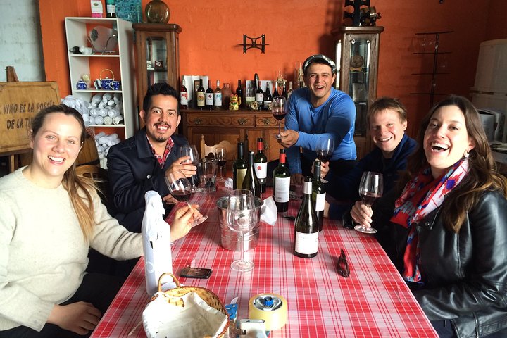 Wine Lovers - Indulge In A Fun Tasting With Light Lunch!, Montevideo