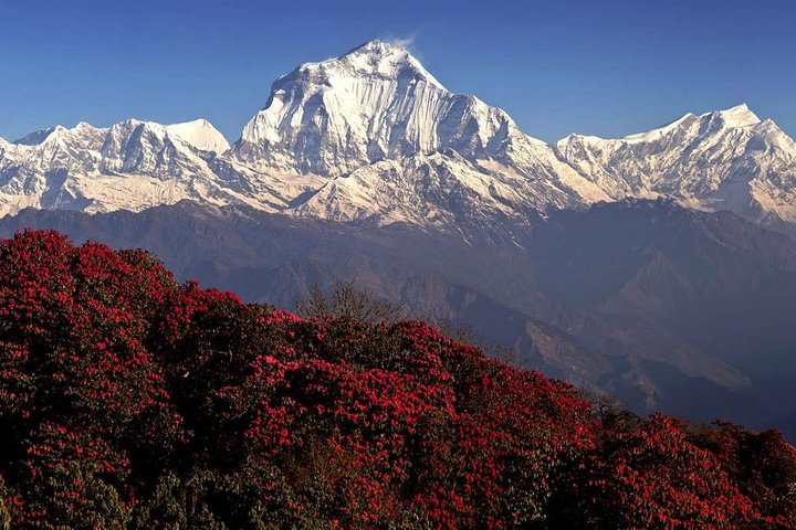 Cheapest Ghorepani Poon Hill Trek From Pokhara - 5 Days, Pokhara