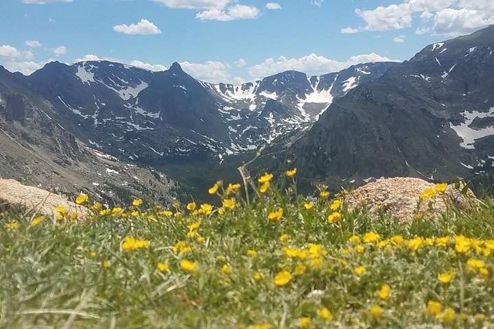 Rocky Mountain National Park In Summer Tour From Denver, Denver
