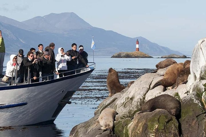 Explore Beagle Channel And Sea Lions Island On A Catamaran Cruise, Ushuaia
