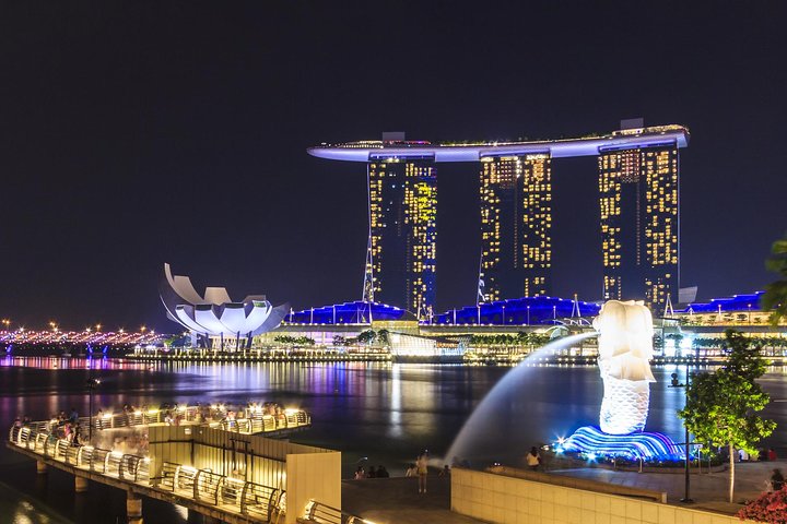 Singapore Night Tour with a Local: Private & 100% Personalized