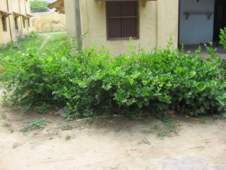 9 Day Trip to Agra from Lagos