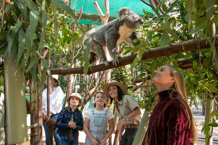 Currumbin Wildlife Sanctuary General Entry Ticket, Gold Coast