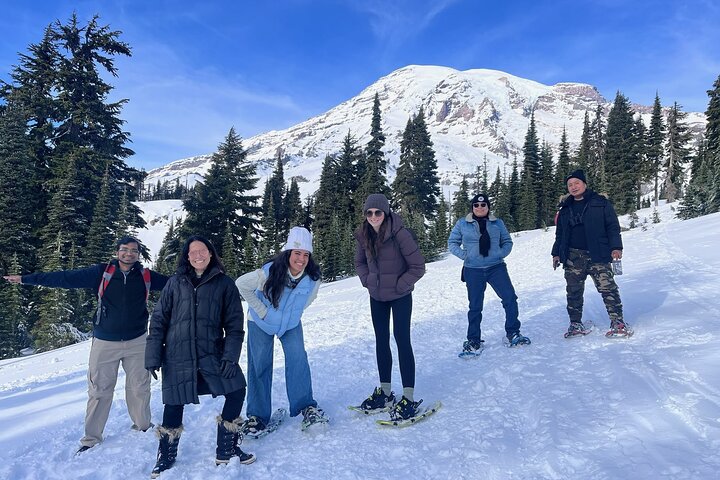Mt. Rainier National Park Day Tour from Seattle