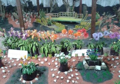 Thread Garden