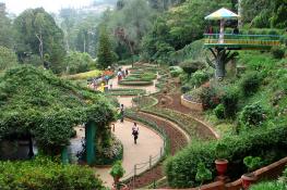Government Botanical Gardens